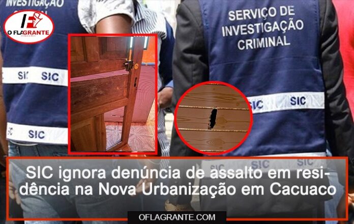 IMG-20251101-WA0004(1)