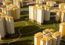 Omatapalo junta-se à campanha de arborização no Kilamba