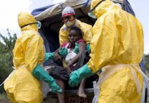 Chefes de Estados africanos discutem situação actual do Ébola